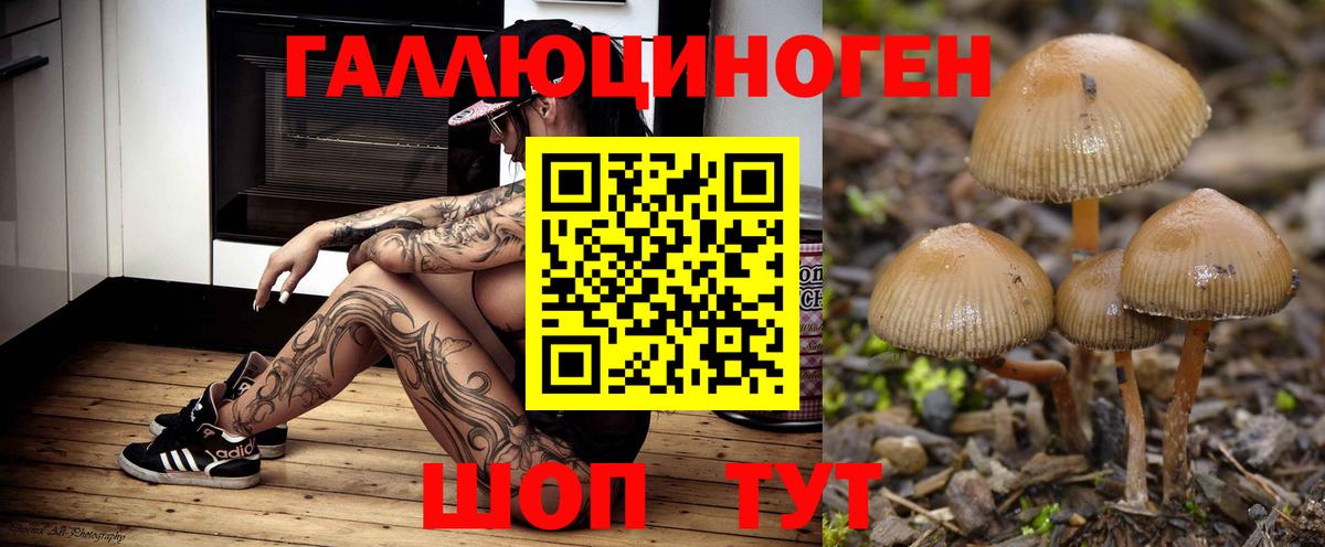 Псилоцибиновые грибы мухоморы  Вход с VPN  Канаш 